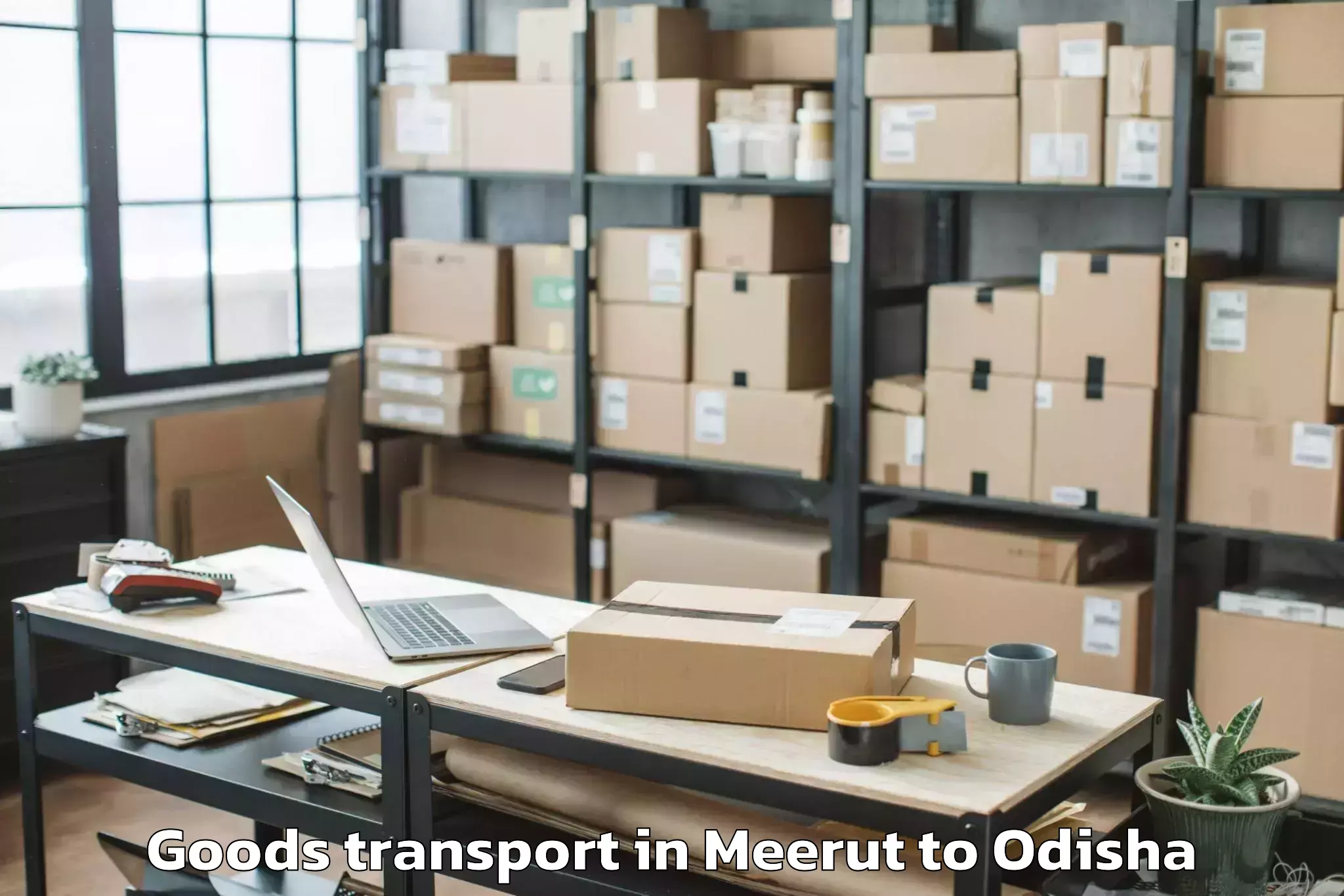 Affordable Meerut to Lephripara Goods Transport